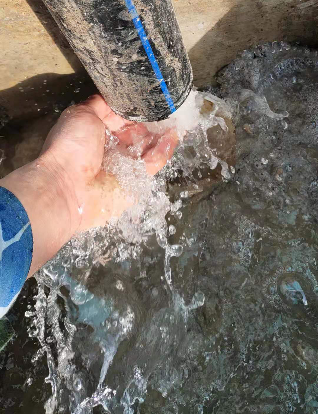白酒污水處理設備出水現場